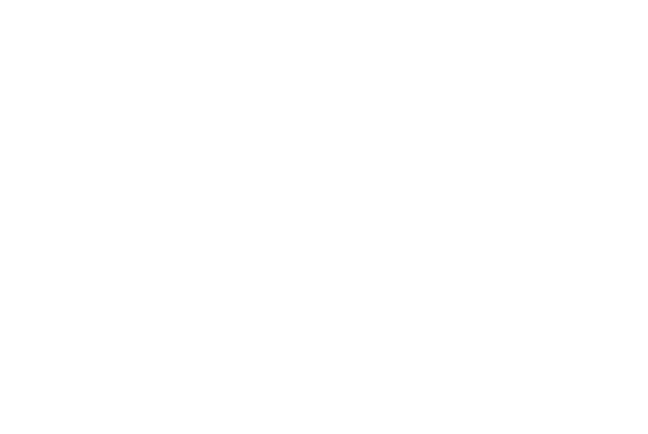 Logo Barbe Divine